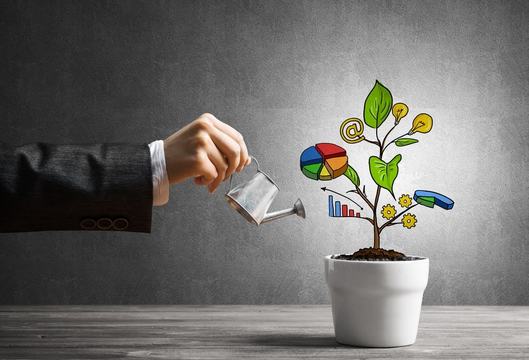 ما علاقة القدرة المالية بالاستدامة؟