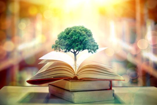 تعليم إدارة المنظمات غير الربحية: إلى أين يتجه هذا المسار الأك…